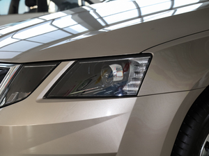 2020TSI230 DSGкA (ji)^