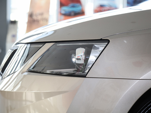 2020TSI230 DSGкA (ji)^