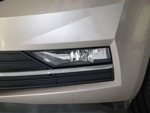 2020TSI230 DSGкA (ji)^