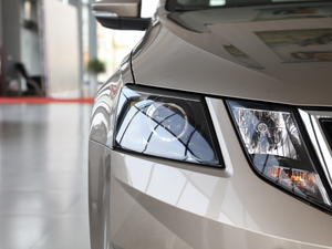 2020TSI230 DSGкA (ji)^