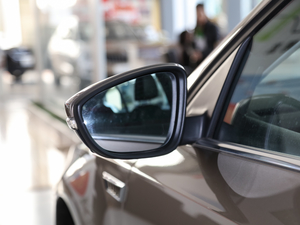 2020TSI230 DSGкA (ji)^