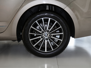 2020TSI230 DSGкA (ji)^