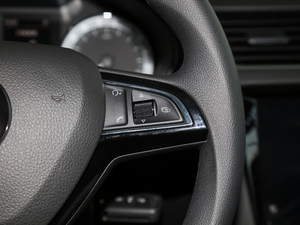 2020TSI230 DSGкA п؅^(q)