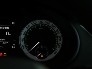 2020TSI230 DSGкA п؅^(q)