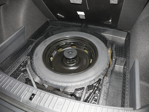 2021TSI330 5(q)(bio)(zhn) 