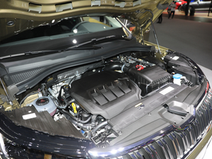 2021TSI330 5(q)(bio)(zhn) 