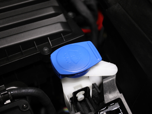 2021TSI330 5(q)(bio)(zhn) 