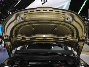 2021TSI330 5(q)(bio)(zhn) 