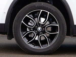 2021TSI330 5(q)A(yu) ݆Ȧ