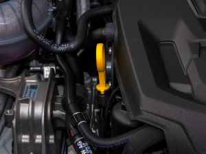 2021TSI330 5(q)A(yu) 