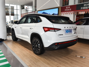 2021款TSI380 四驱豪华版 左后45度