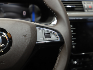 2021TSI380 DSGŞ п؅^