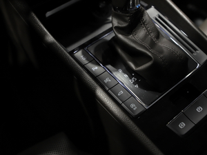 2021TSI380 DSGŞ п؅^