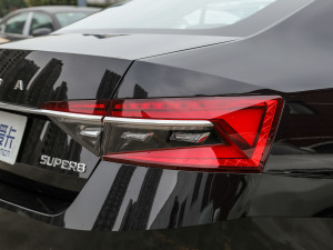 2021TSI280 DSGm (ji)^