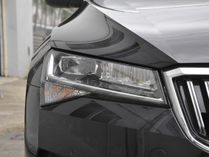 2021TSI330 DSGm (x)(ji)^