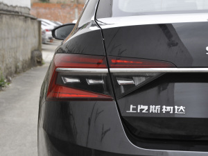 2021TSI330 DSGm (x)(ji)^