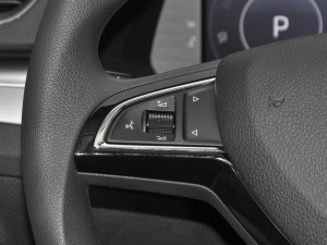 2021TSI330 DSGm п؅^