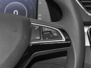 2021TSI330 DSGm п؅^