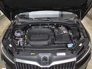 2021TSI330 DSGm lәC