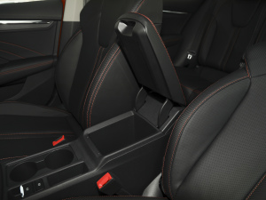 2021PRO TSI280 DSGŞ g