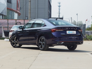 2021PRO TSI280 DSGF 45