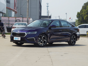 2021PRO TSI280 DSGF ǰ45