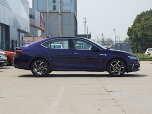 2021PRO TSI280 DSGF w^