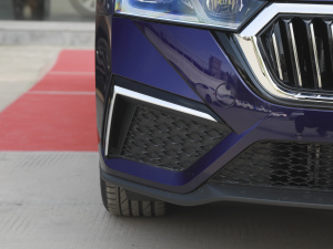 2021PRO TSI280 DSGF ^