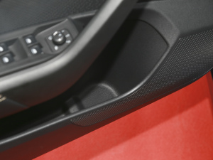 2021PRO TSI280 DSGF ǰTg