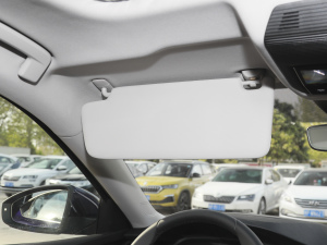 2021PRO TSI280 DSGF g