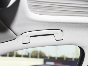 2021PRO TSI280 DSGF g