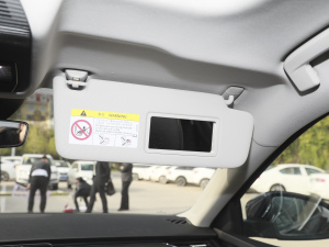 2021PRO TSI280 DSGF ꖰ壨