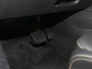 2021PRO TSI280 DSGF g