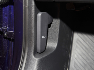 2021PRO TSI280 DSGF g