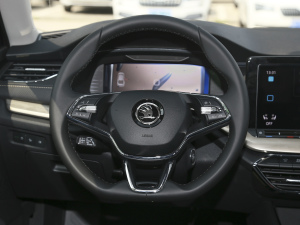 2021PRO TSI280 DSGF P