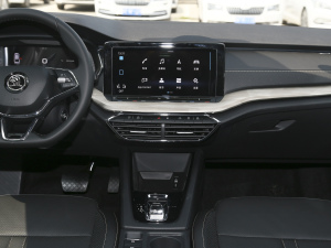 2021PRO TSI280 DSGF п_