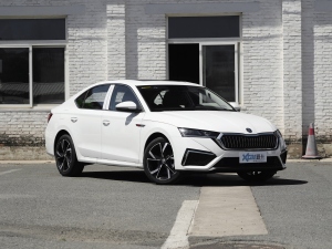 2021PRO TSI280 DSGA w^