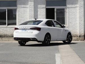 2021PRO TSI280 DSGA w^