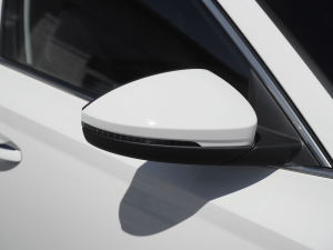 2021PRO TSI280 DSGA ^