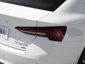 2021PRO TSI280 DSGA ^