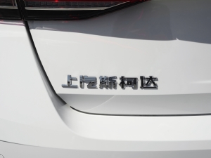 2021PRO TSI280 DSGA ^