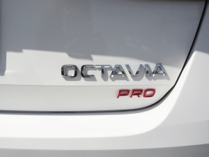 2021PRO TSI280 DSGA ^