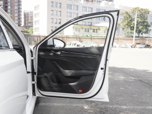 2021PRO TSI280 DSGA g