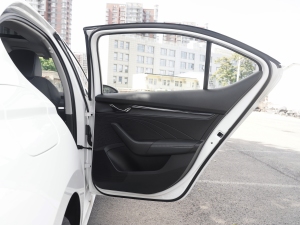 2021PRO TSI280 DSGA g