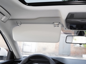 2021PRO TSI280 DSGA g