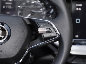 2021PRO TSI280 DSGA п؅^(q)