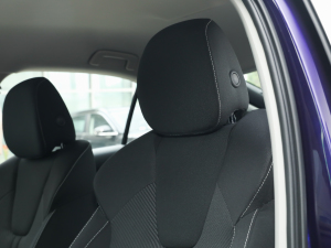 2021PRO TSI280 DSGܰ g