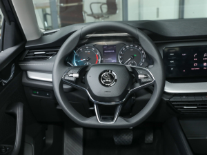 2021PRO TSI280 DSGܰ P