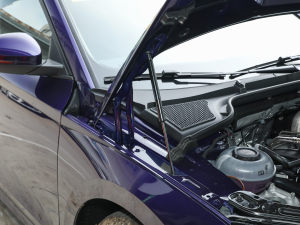 2021PRO TSI280 DSGܰ 