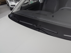 20211.5L քӘ(bio)(zhn) ˢ